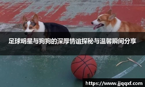 BB贝博艾弗森官方网站